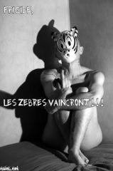 WEB_MG_1209-Recupere.jpg