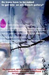 WEBnice_colere_MG_3338_copie.jpg
