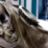 WEB_MG_7894_copie_recadree2.jpg